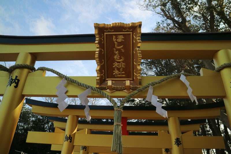 ほしいも専門店 大丸屋 明治３０年創業のほしいものテーマパーク Manpuku